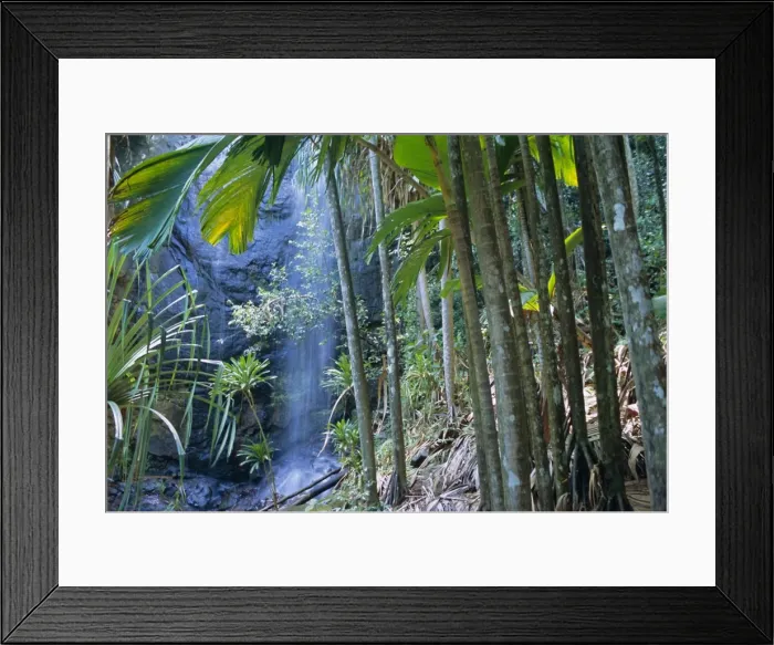 Framed Print : Waterfall, Vallee de Mai National Park Framed Print : Waterfall, Vallee de Mai National Park