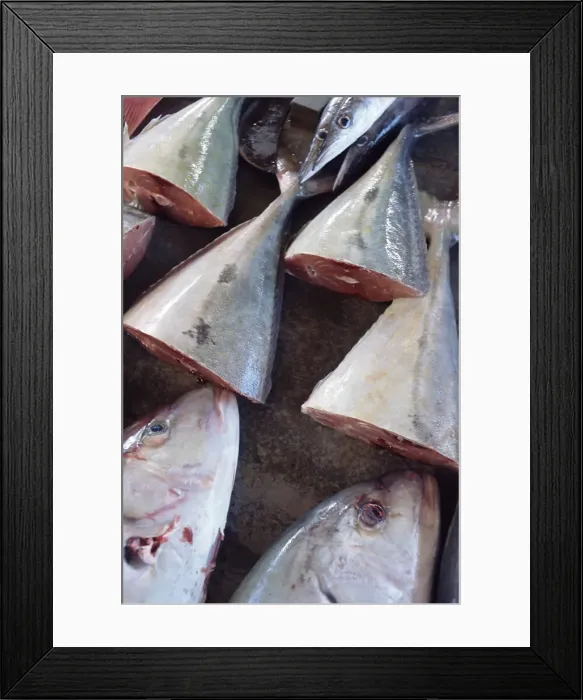 Framed Print : Fish for sale Framed Print : Fish for sale