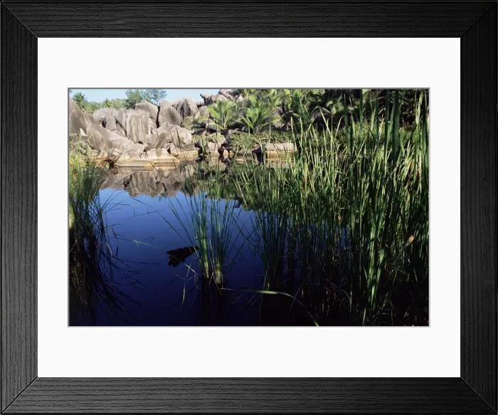 Framed Print : Grande Anse Framed Print : Grande Anse