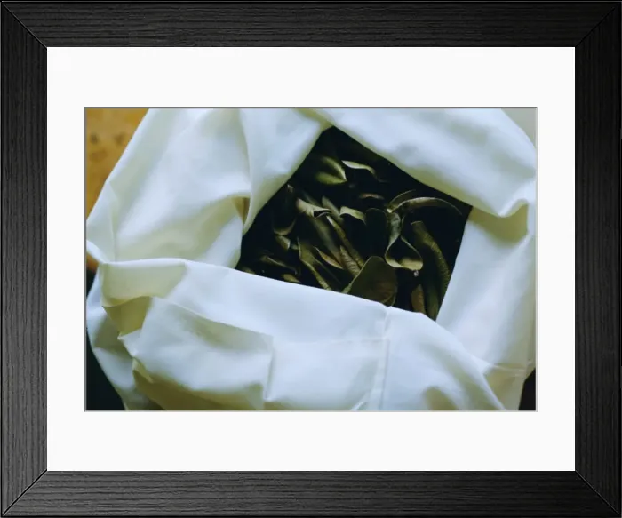 Framed Print : Leaves of five spices Framed Print : Leaves of five spices