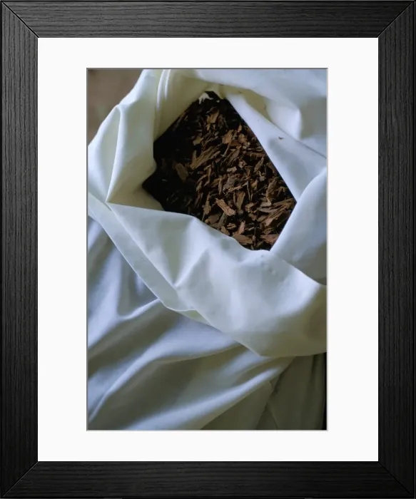 Framed Print : Cinnamon bark Framed Print : Cinnamon bark