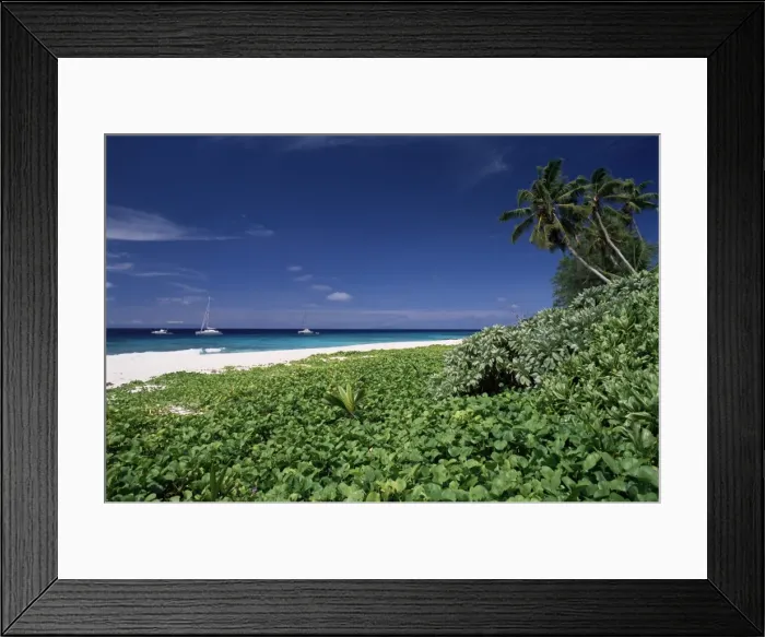 Framed Print : Nature reserve and beach Framed Print : Nature reserve and beach