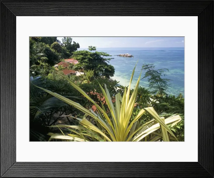 Framed Print : Lazio Beach Framed Print : Lazio Beach