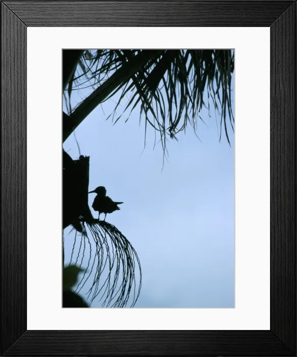 Framed Print : Nature reserve Framed Print : Nature reserve