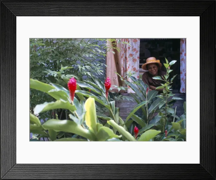 Framed Print : Traditional Creole house Framed Print : Traditional Creole house