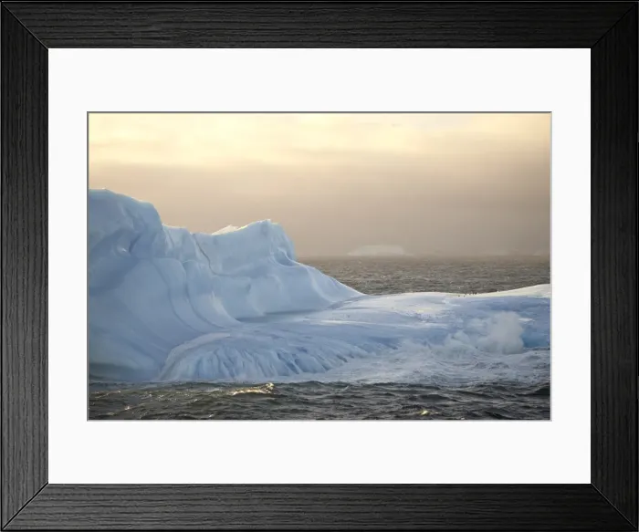 Framed Print : Iceberg at dawn Framed Print : Iceberg at dawn
