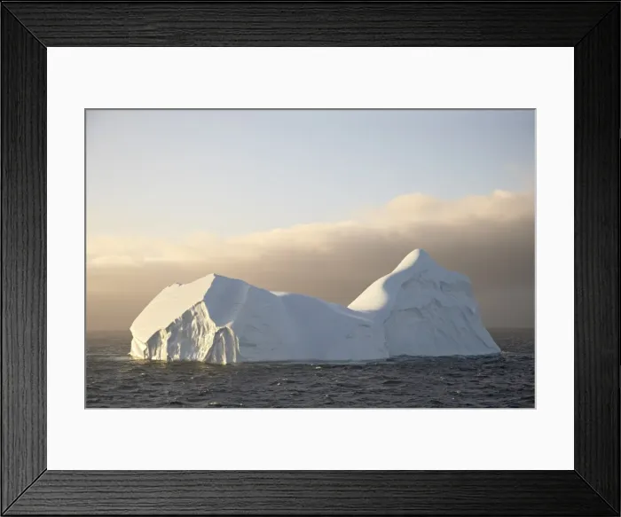 Framed Print : Icebergs at dawn off Laurie Island Framed Print : Icebergs at dawn off Laurie Island