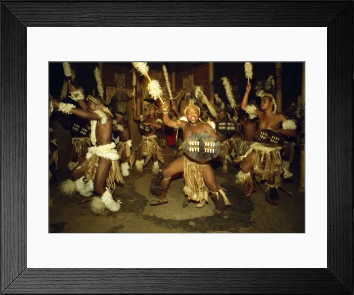 Framed Print : Zulu dances at a cultural show in Shakaland Framed Print : Zulu dances at a cultural show in Shakaland