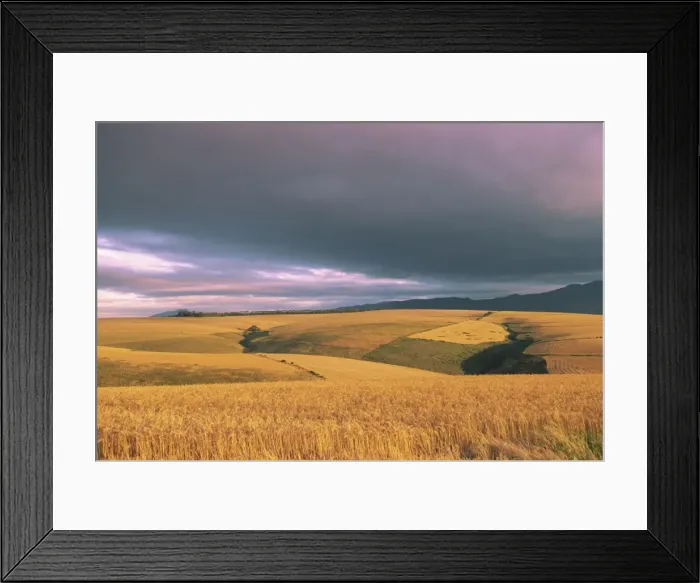 Framed Print : Overberg landscape Framed Print : Overberg landscape