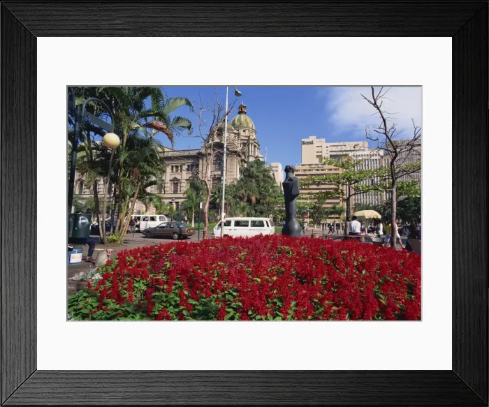 Framed Print : Bright flowers before the City Hall Framed Print : Bright flowers before the City Hall