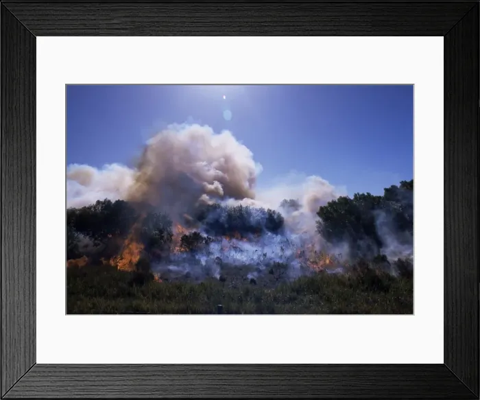 Framed Print : Bush fire, St Framed Print : Bush fire, St