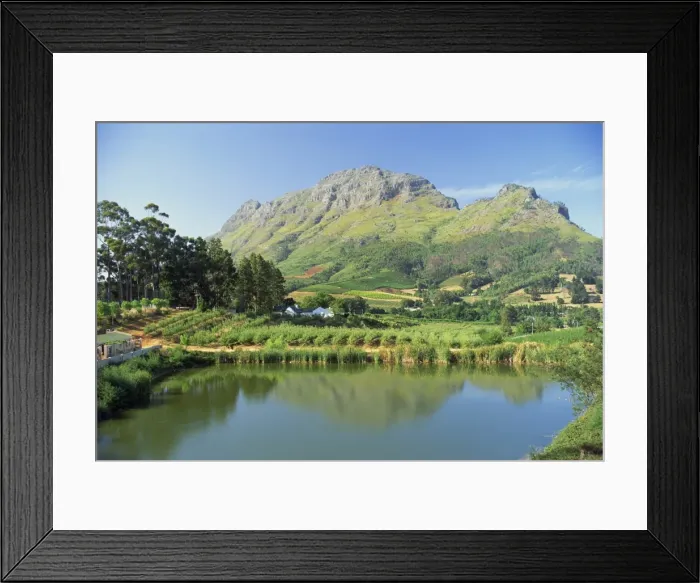 Framed Print : Rural scenic near Stellenbosch Framed Print : Rural scenic near Stellenbosch