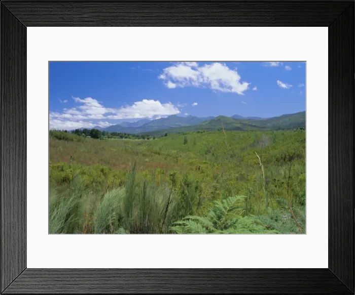 Framed Print : Outeniqua Mountains Framed Print : Outeniqua Mountains
