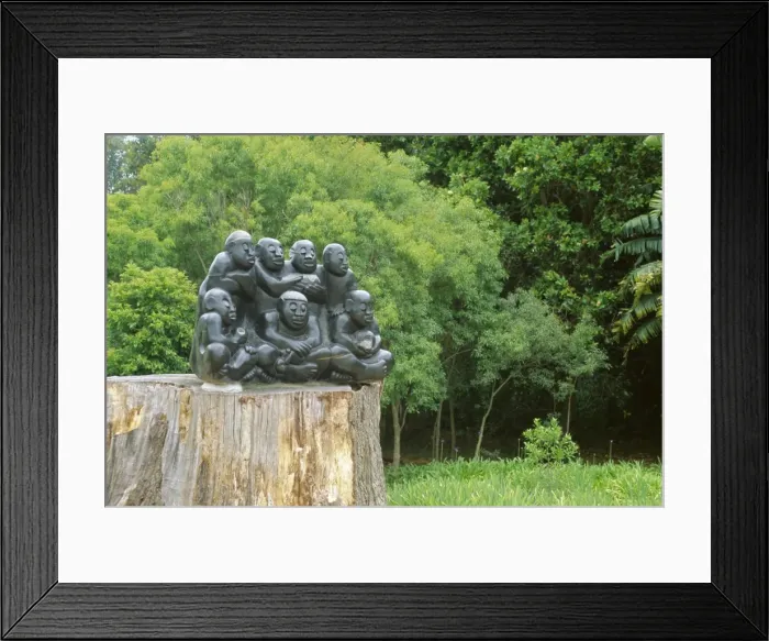 Framed Print : Kirstenbosch Botanical Gardens Framed Print : Kirstenbosch Botanical Gardens