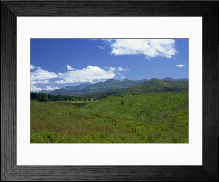 Framed Print : Fynbos (Cape Vegetation) and the Quteniqua Mountains Framed Print : Fynbos (Cape Vegetation) and the Quteniqua Mountains