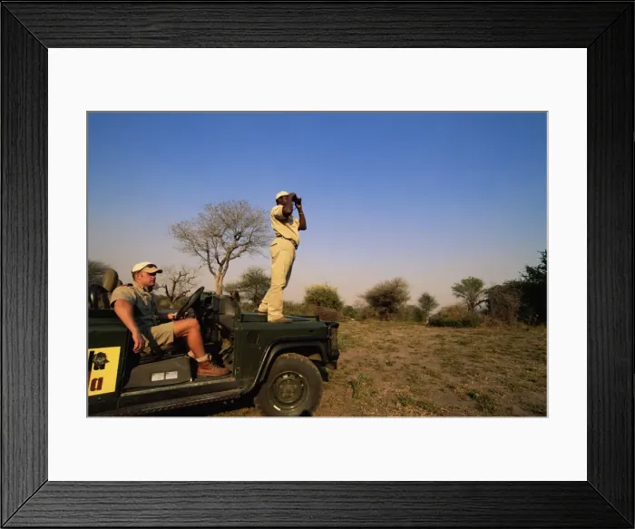 Framed Print : Looking out for wildlife Framed Print : Looking out for wildlife