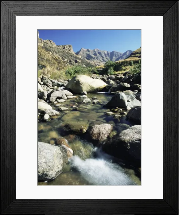 Framed Print : Garden Castle Reserve Framed Print : Garden Castle Reserve