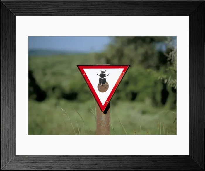 Framed Print : Dung beetle road sign to discourage dung beetle roadkills Framed Print : Dung beetle road sign to discourage dung beetle roadkills