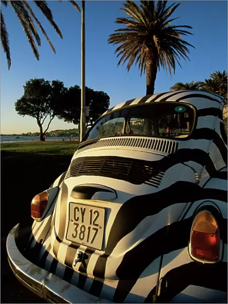 Back of a Beetle car painted in zebra stripes