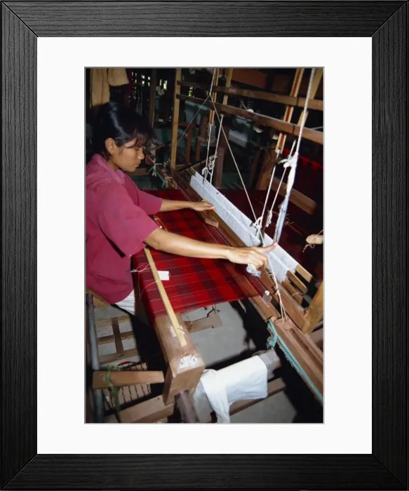 Framed Print : Silk industry Framed Print : Silk industry
