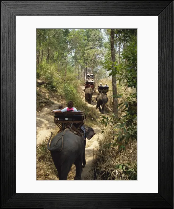 Framed Print : Tourists taking elephant ride at Elephant Show Framed Print : Tourists taking elephant ride at Elephant Show