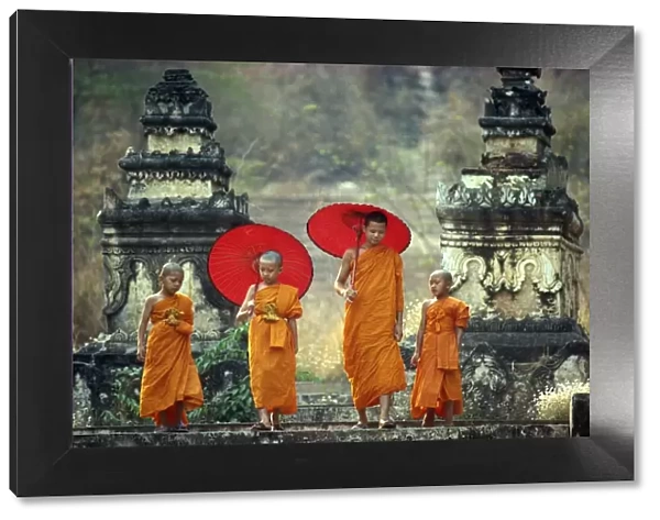 Novice Buddhist monks