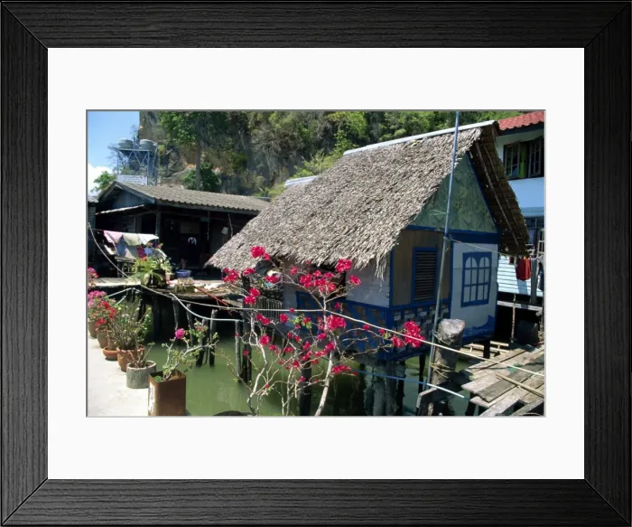 Framed Print : Traditional domestic housing