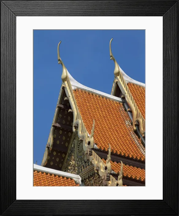 Framed Print : Roof detail Framed Print : Roof detail