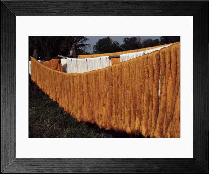 Framed Print : Silk drying Framed Print : Silk drying