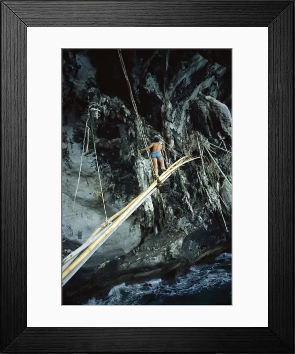 Framed Print : Sea gipsy on a bamboo bridge going to collect birds Framed Print : Sea gipsy on a bamboo bridge going to collect birds