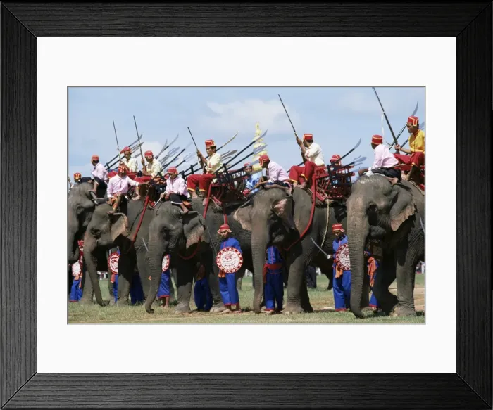 Framed Print : Elephants at festival Framed Print : Elephants at festival