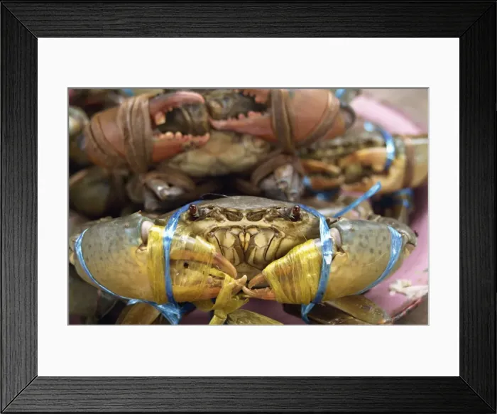 Framed Print : Close-up of crabs for sale at the weekend market in Bangkok