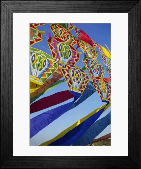 Framed Print : Kites, Bangkok Framed Print : Kites, Bangkok