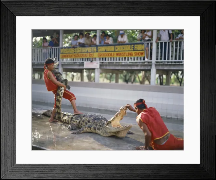 Framed Print : Two men exhibit crocodiles to tourists at a crocodile Framed Print : Two men exhibit crocodiles to tourists at a crocodile