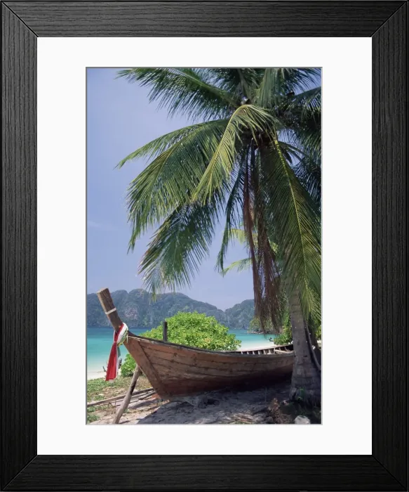 Framed Print : Wooden boat beneath palm trees on beach Framed Print : Wooden boat beneath palm trees on beach