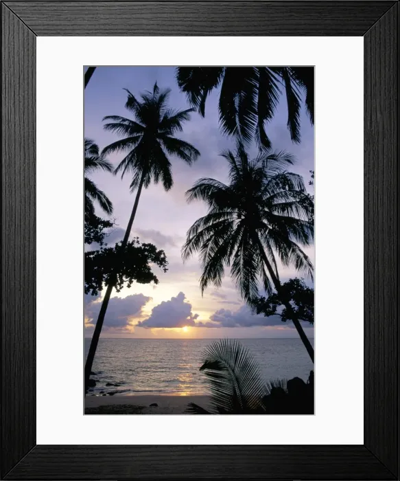 Framed Print : Sunset framed by palms Framed Print : Sunset framed by palms