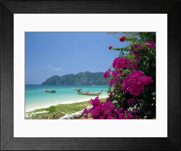 Framed Print : Boats moored off beach of Phi Phi Don Island Framed Print : Boats moored off beach of Phi Phi Don Island