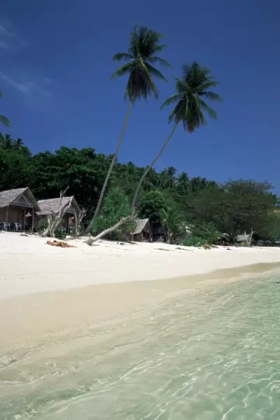 Island of Phi Phi Don