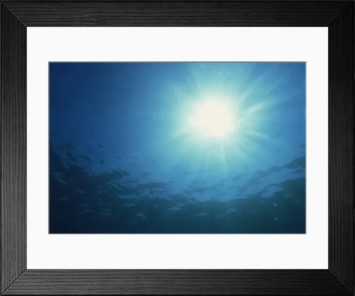 Framed Print : Rays of sunlight through the surface from underwater Framed Print : Rays of sunlight through the surface from underwater