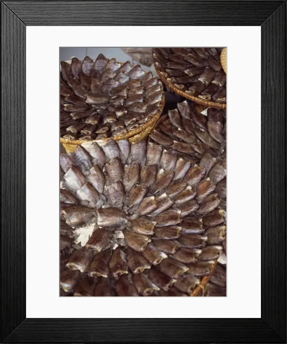Framed Print : Fish laid out in patterns in baskets in a street market in Bangkok Framed Print : Fish laid out in patterns in baskets in a street market in Bangkok