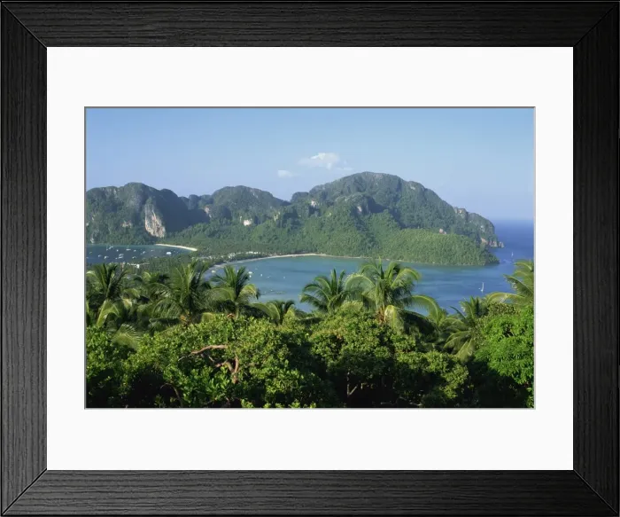 Framed Print : View over trees to the bay and coastline Framed Print : View over trees to the bay and coastline