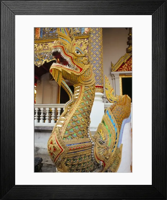 Framed Print : Naga (sacred snake) Framed Print : Naga (sacred snake)