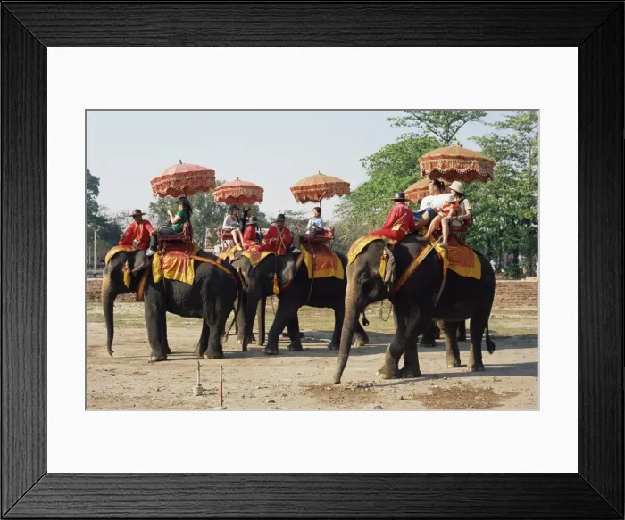 Framed Print : Tourists riding elephants in traditional royal style Framed Print : Tourists riding elephants in traditional royal style