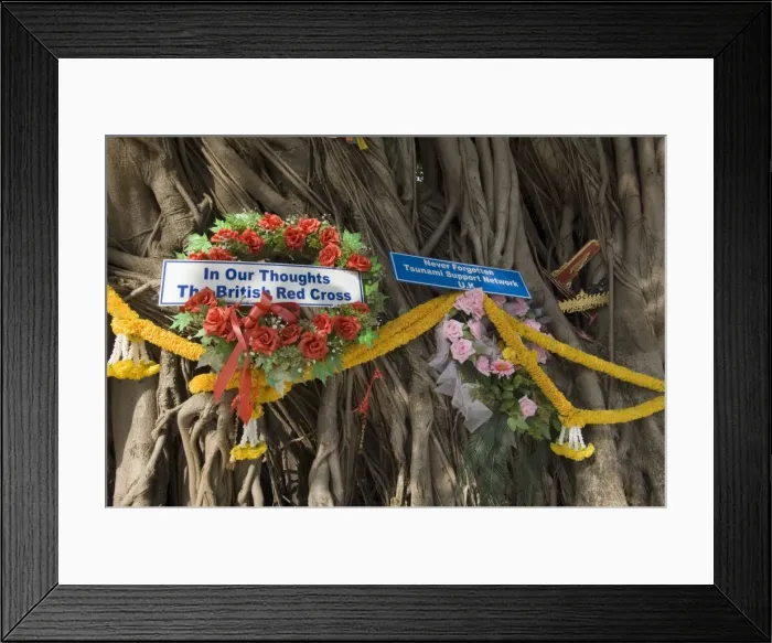 Framed Print : Tsunami memorial Framed Print : Tsunami memorial