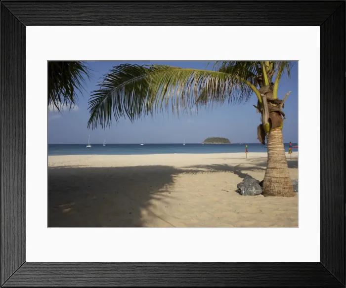 Framed Print : Palm tree in front Framed Print : Palm tree in front