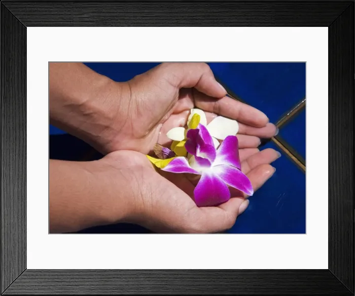 Framed Print : Hands and flowers Framed Print : Hands and flowers