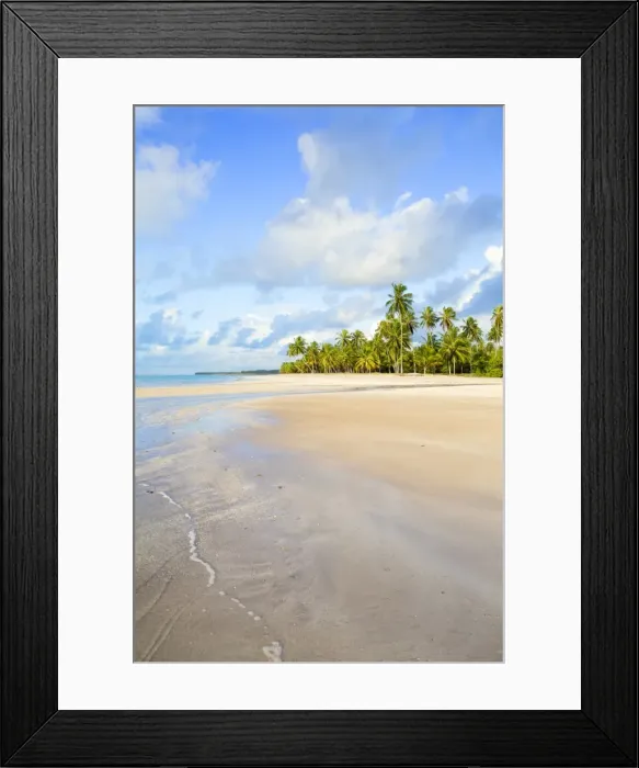 Framed Print : Deserted tropical beach, Bahia, Brazil, South America Framed Print : Deserted tropical beach, Bahia, Brazil, South America