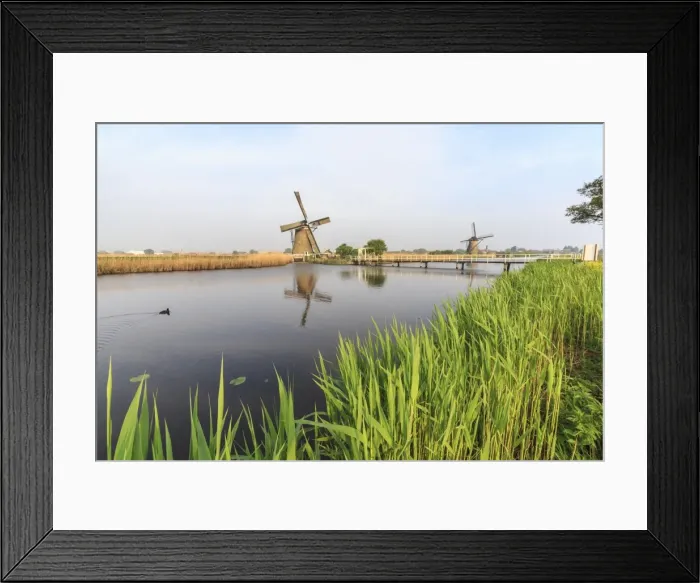 Framed Print : Green grass frames the windmills reflected in the canal, Kinderdijk, Rotterdam, South Holland Framed Print : Green grass frames the windmills reflected in the canal, Kinderdijk, Rotterdam, South Holland
