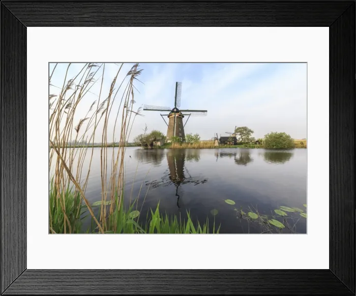 Framed Print : Green grass frames the windmills reflected in the canal, Kinderdijk, Rotterdam, South Holland