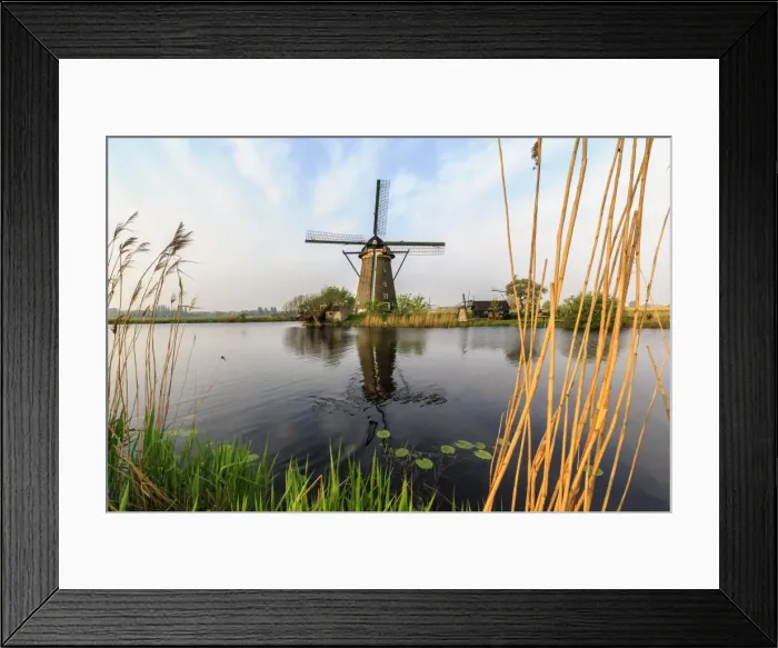 Framed Print : Green grass and reed beds frame the windmills reflected in the canal Kinderdijk, Rotterdam Framed Print : Green grass and reed beds frame the windmills reflected in the canal Kinderdijk, Rotterdam